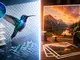 PNG VS JPEG: Какой формат изображения лучше? - InfoCore