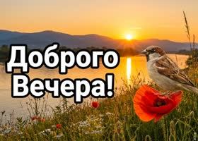 dobryi-vecer-pust-zaboty-uidut-185615