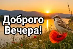 dobryi-vecer-pust-zaboty-uidut-185615