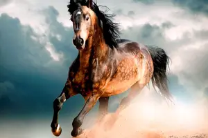 krapchatyi-mustang-2