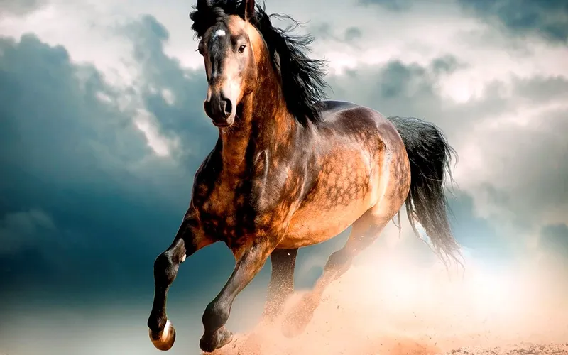 krapchatyi-mustang-2